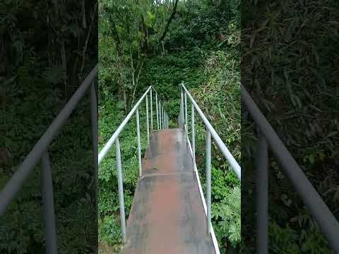 mazala joateca morazan norte