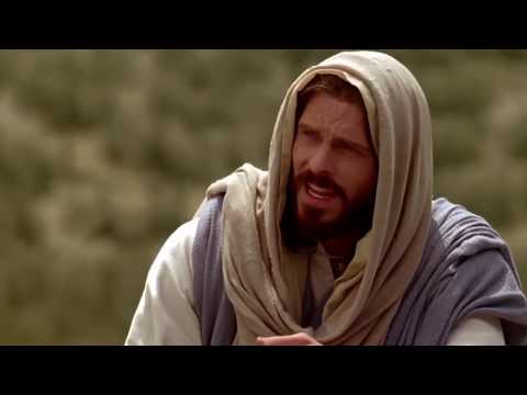 Ensinamentos de Jesus Cristo -  A Palavra