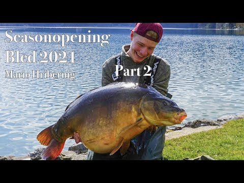 Bled Season Opening Folge 2 - Karpfenangeln am Lake Bled