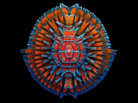 Ekanta Vs Logica   Juremix Vegas RMX