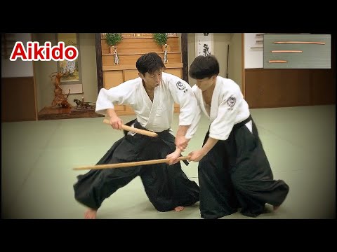 Aikido - Using a Kodachi against a Sword! Shirakawa Ryuji shihan