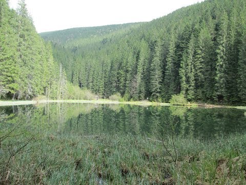 Нижній Яловець — Відео