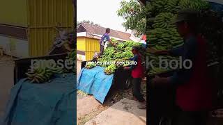 Download lagu 19 Agustus 2026 mp3