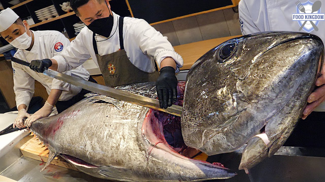역대급입니다!  얼리지 않은 110KG짜리 생참치 해체쇼와 참치모듬 코스 / Korean Tuna Restaurant & Raw Tuna Dismantling