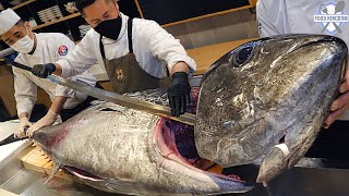 역대급입니다! 얼리지 않은 110KG짜리 생참치 해체쇼와 참치모듬 코스 / Korean Tuna Restaurant & Raw Tuna Dismantling