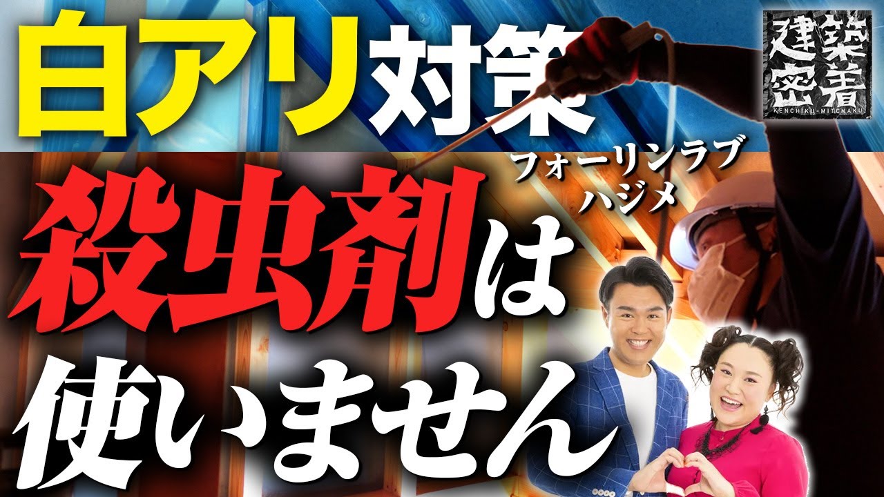 【家はホウ酸で守る】白アリ社長「フォーリンラブハジメ」さんの1日｜シロアリ対策／シロアリ予防