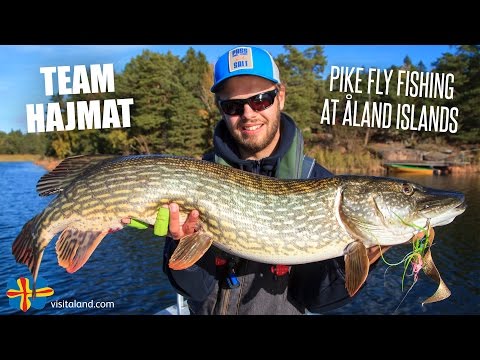 Pike Fly Fishing at Åland Islands with Team Hajmat - Kanalgratis.se