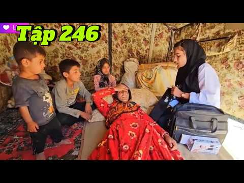 3 Anh Em - Tập 246 | Mẹ Nuôi Đổ Bệnh Ngất Xỉu - Anh Em Hamid Lo Lắng Tột Độ