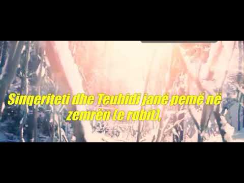 Sinqeriteti dhe TEUHIDI.