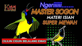 Download lagu FULL materi isian mewah Masteran sogon tembakan cililin Vs bren cigun & belalang emas mp3