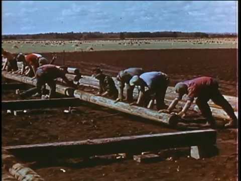 A Mile Below the Wheat. -- 1949.