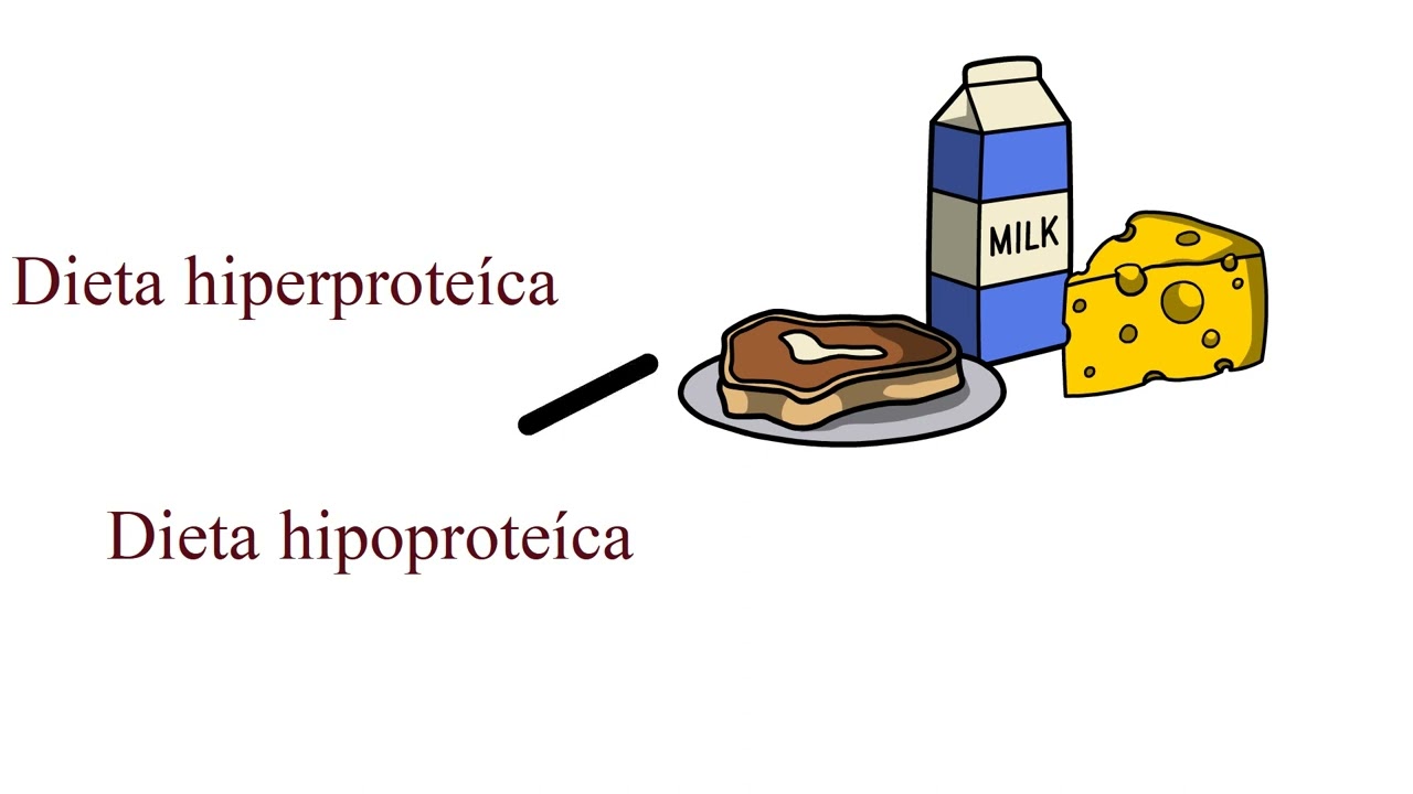 DIETAS HOSPITALARES I VALORES DA ENFERMAGEM