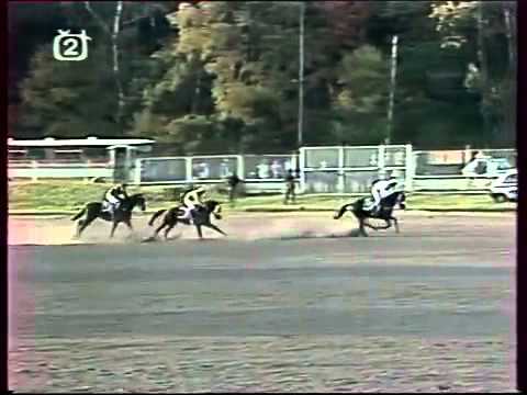 103. Velká pardubická steeplechase - 1993
