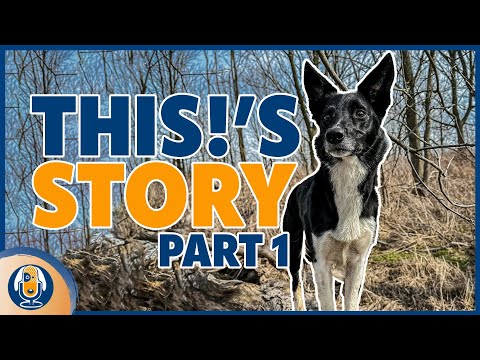 Reactive, Unmotivated and Fearful: Finding Resiliency For This! Beyond Dog Training Part 1 #203