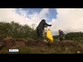 Roman Road Building Technique Using Wool Revived In Co Leitrim