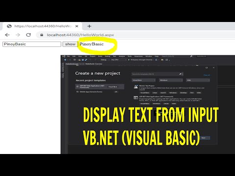 Vb Net Tutorial Display Text Input Visual Basic