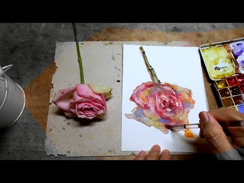 PROCESS: Daily Rose Watercolour Painting DAY 2026 (20210223TUE)