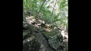 preview picture of video 'Green Rock Trail in Rockwoods Reservation'