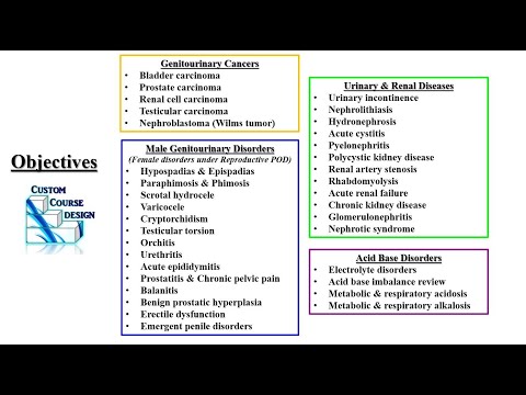 Renal Genitourinary Nephrology Acid Base Review PODs Part 1 PA NP Didactic PANCE PANRE