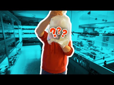 Aquarium Fisch Unboxing 📤