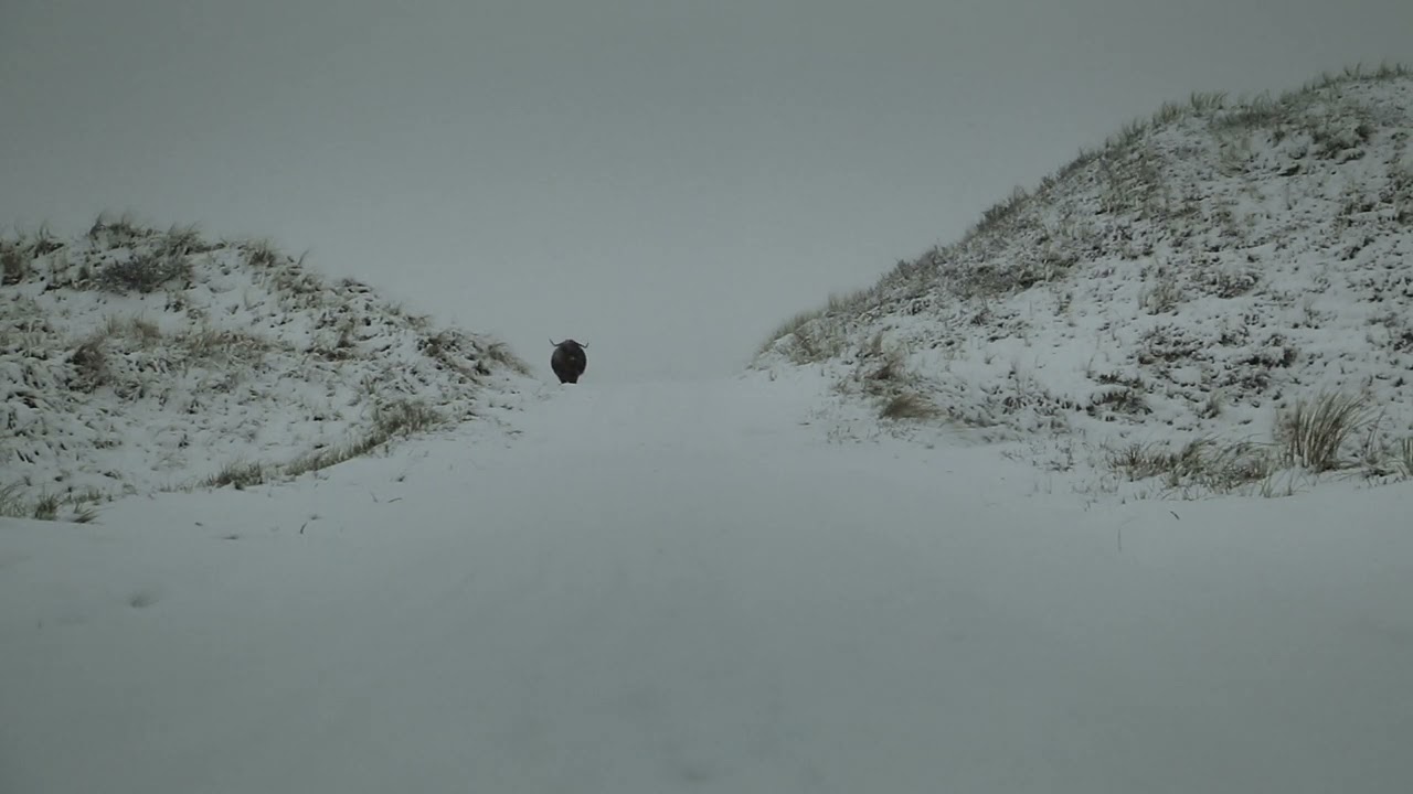 Placeholder from YouTube