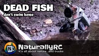 Dead Fish Don&#39;t Swim Home - &#39;49 Willys Boldy Goes Where No RC Has Gone...Since the Lockdown