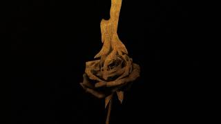 First Burn - Arianna Afsar, Julia Harriman, Lexi Lawson, Rachelle Ann Go &amp; Shoba Narayan