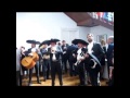 Mariachi romatitlan 