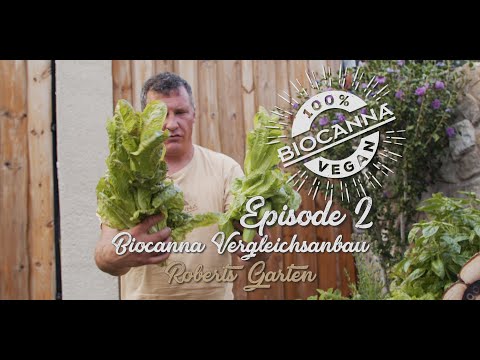 BIOCANNA Comparison Test Ep2