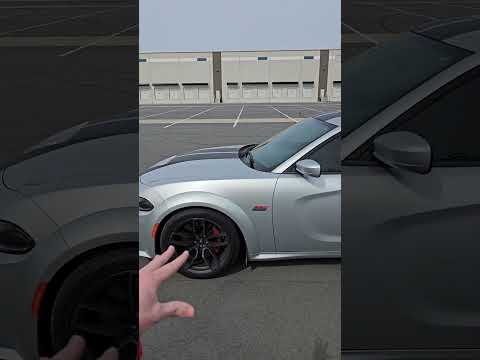 Is A Scat