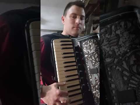 Bojan Br.6 Accordionist (cover) - Mix 2020