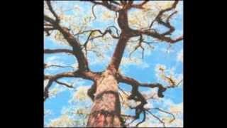 Bobby Bare Jr. - The Summer of 93