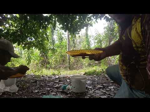 COMENDO UMA CALDEIRA COM MEU AMIGO MANEL EM CAAPIRANGA AMAZONAS 