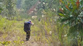 Download lagu Payau di sipitang mp3 Download lagu Payau di sipitang mp3