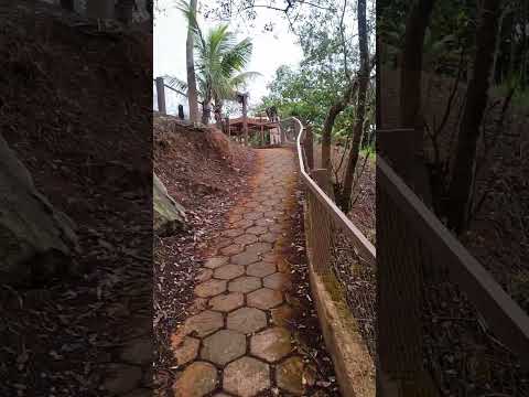 São Francisco do Glória-MG.