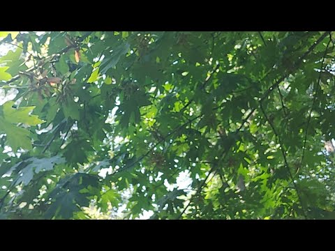 Living In The Chrysalis: "Day" One - The Zero Point Perspective