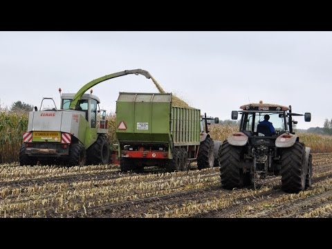 Claas Jaguar 860 - Loonw. Van De Voorde-Martens - mais 2013