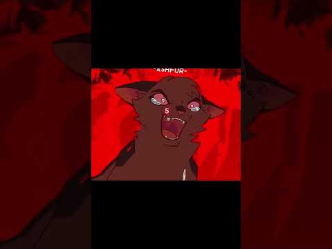 Warrior cats and there k!ll count // Credit in desc \\