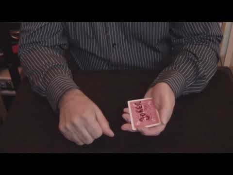 Montinator 5.0 (DVD Fractalicious)