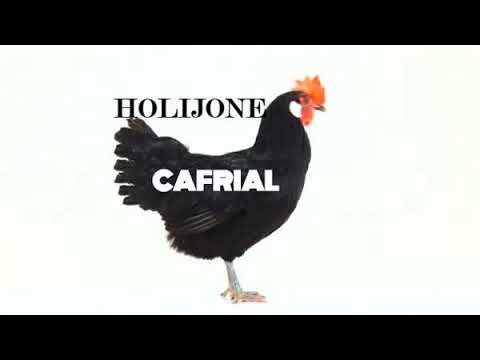 Holijone   cafriale