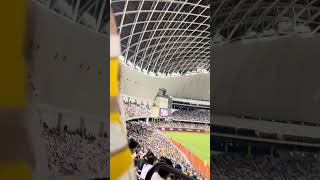 拜拜 小迪跟曼容 8局