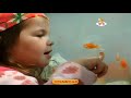 Kids And Pets Fish BabyTV