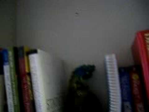 Miramar Marine Living Quarters the Room and Me Getting Booted Out. Part 2