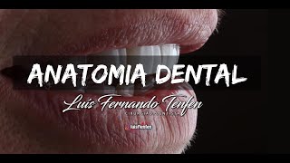 Anatomia Dental Básica: Composição e Dentições #1