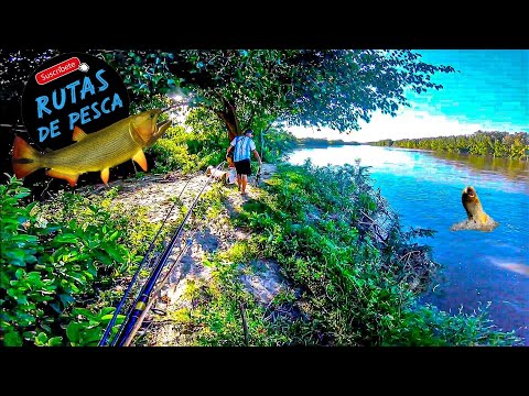 MI LUGAR SECRETO 🤫 Barranca MUY PROFUNDA 😱 Pesca, Cocina y Nocturna 🎣 Los Gomez 2025, Tucumán Arg.