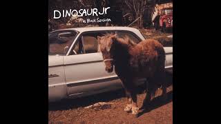Dinosaur Jr - Drawerings (The Black Session 1993)