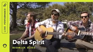 Delta Spirit Bushwick Blues: Live