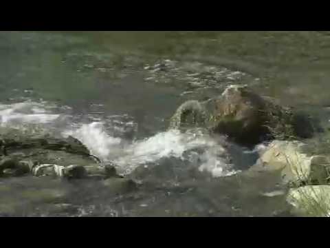 3. Wasserlandserie: Fischaufstiegshilfen für die natürliche Fischwanderung