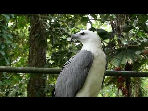 リダイレクトアイコン