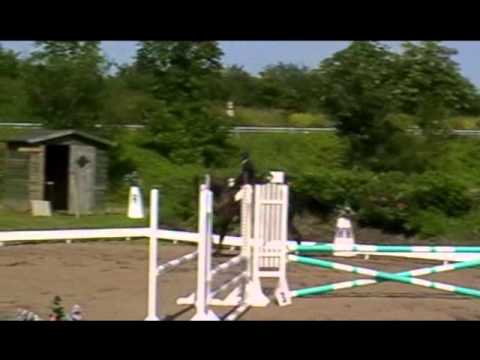 Royaldiko_Eignung_Eutin_Juli2011